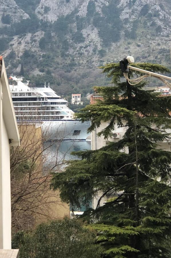 Unico Apartman Kotor Extérieur photo